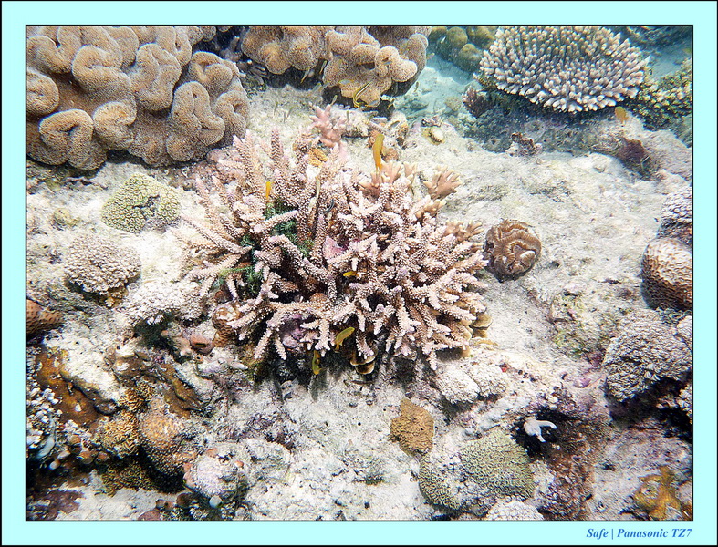 2011 - 08 - Bohey Dulang Island 30